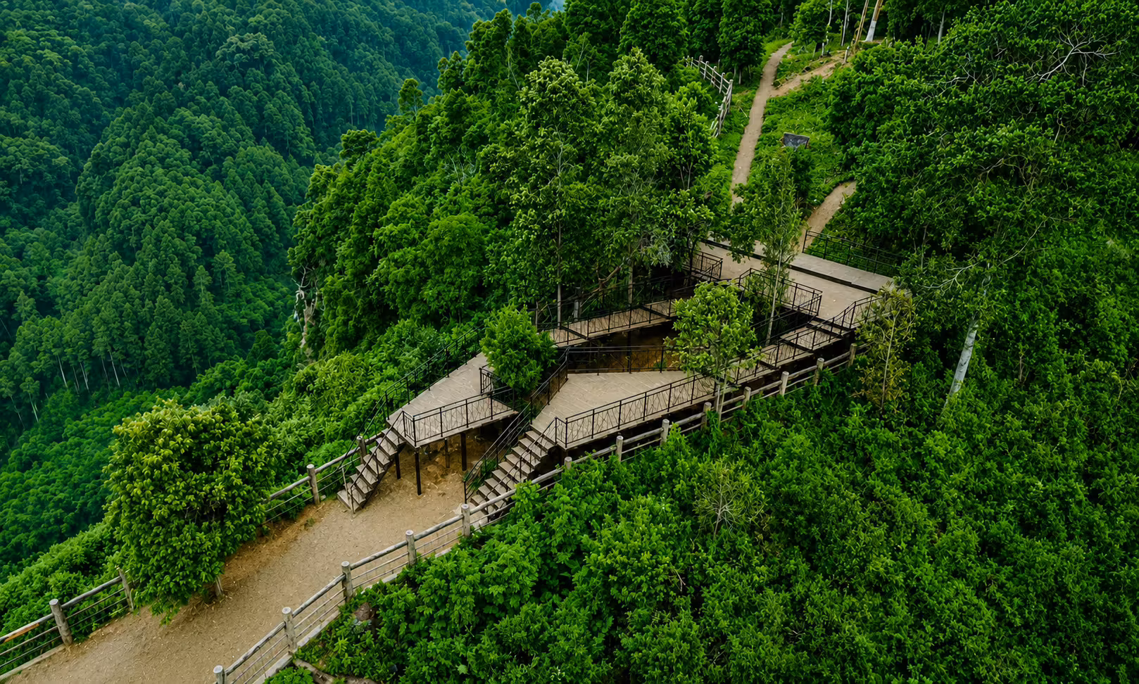 Aerial view of a wooden walkway and stairs winding through a lush green forested hillside